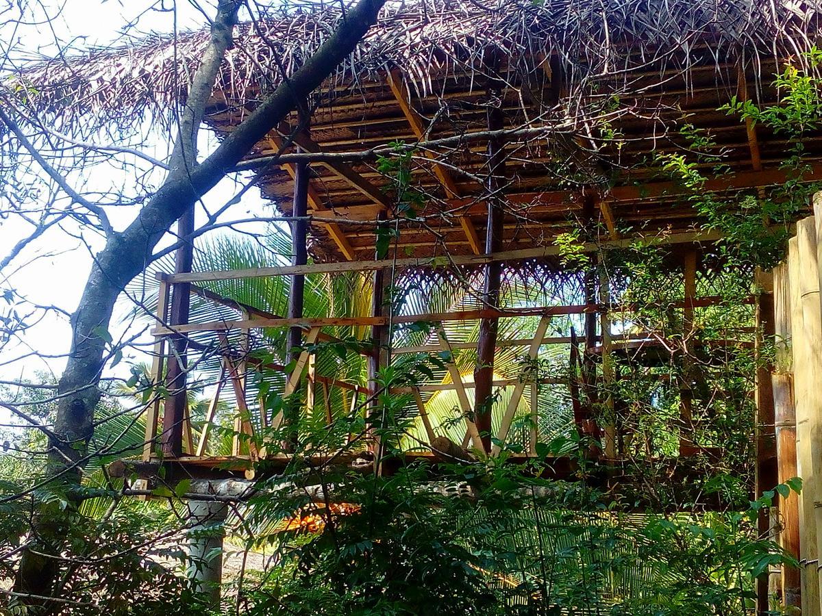 Ancient Gardens Villa بينافالا المظهر الخارجي الصورة