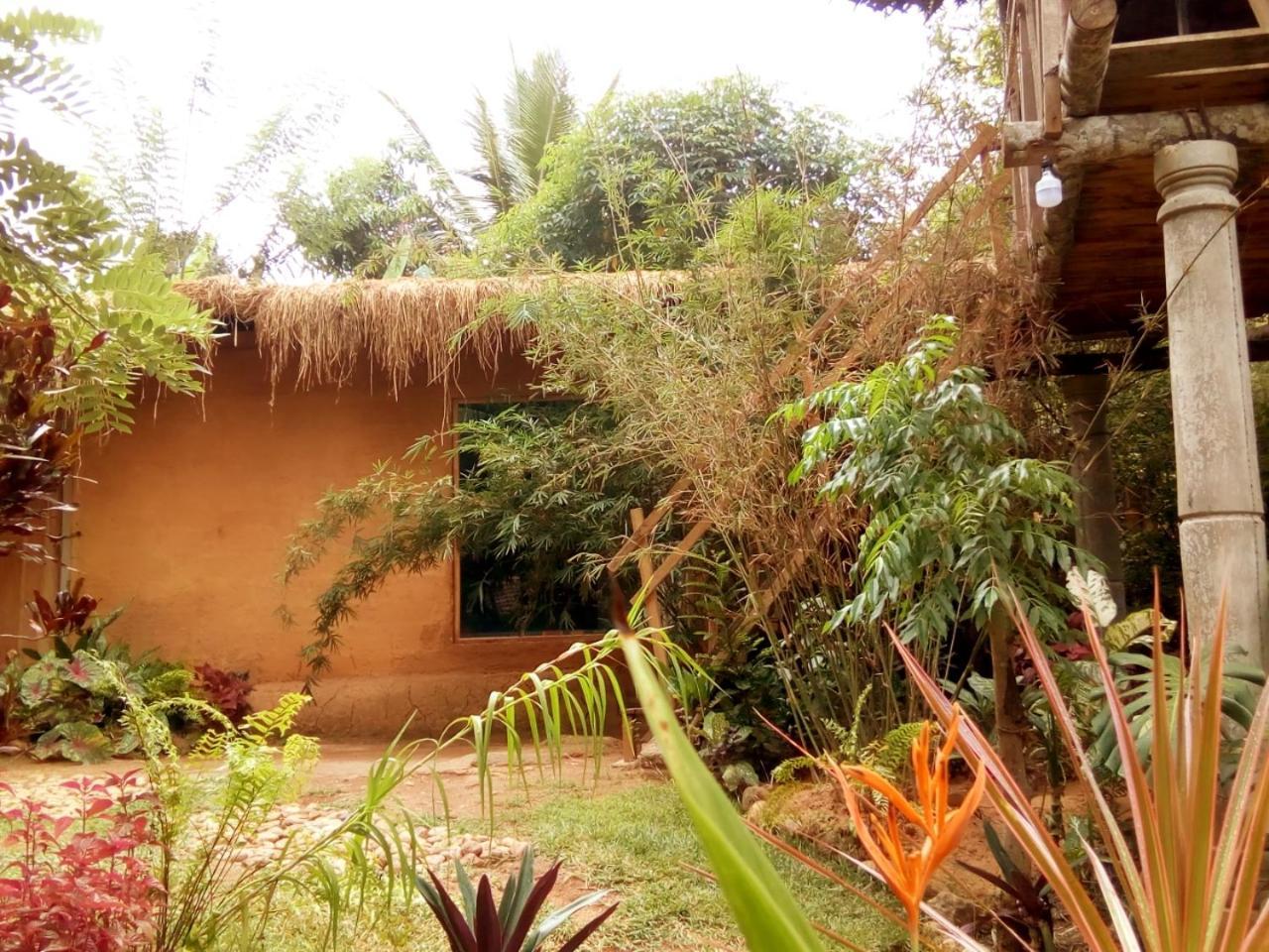 Ancient Gardens Villa بينافالا المظهر الخارجي الصورة
